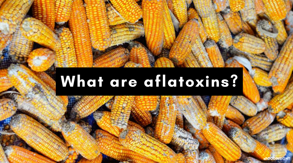 aflatoxins 1 - What are aflatoxins?